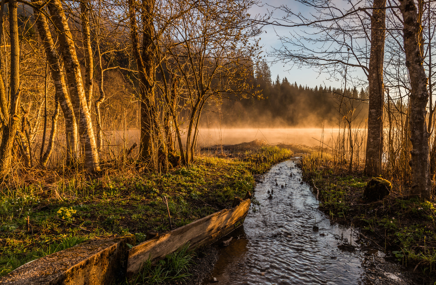 Im Morgenlicht