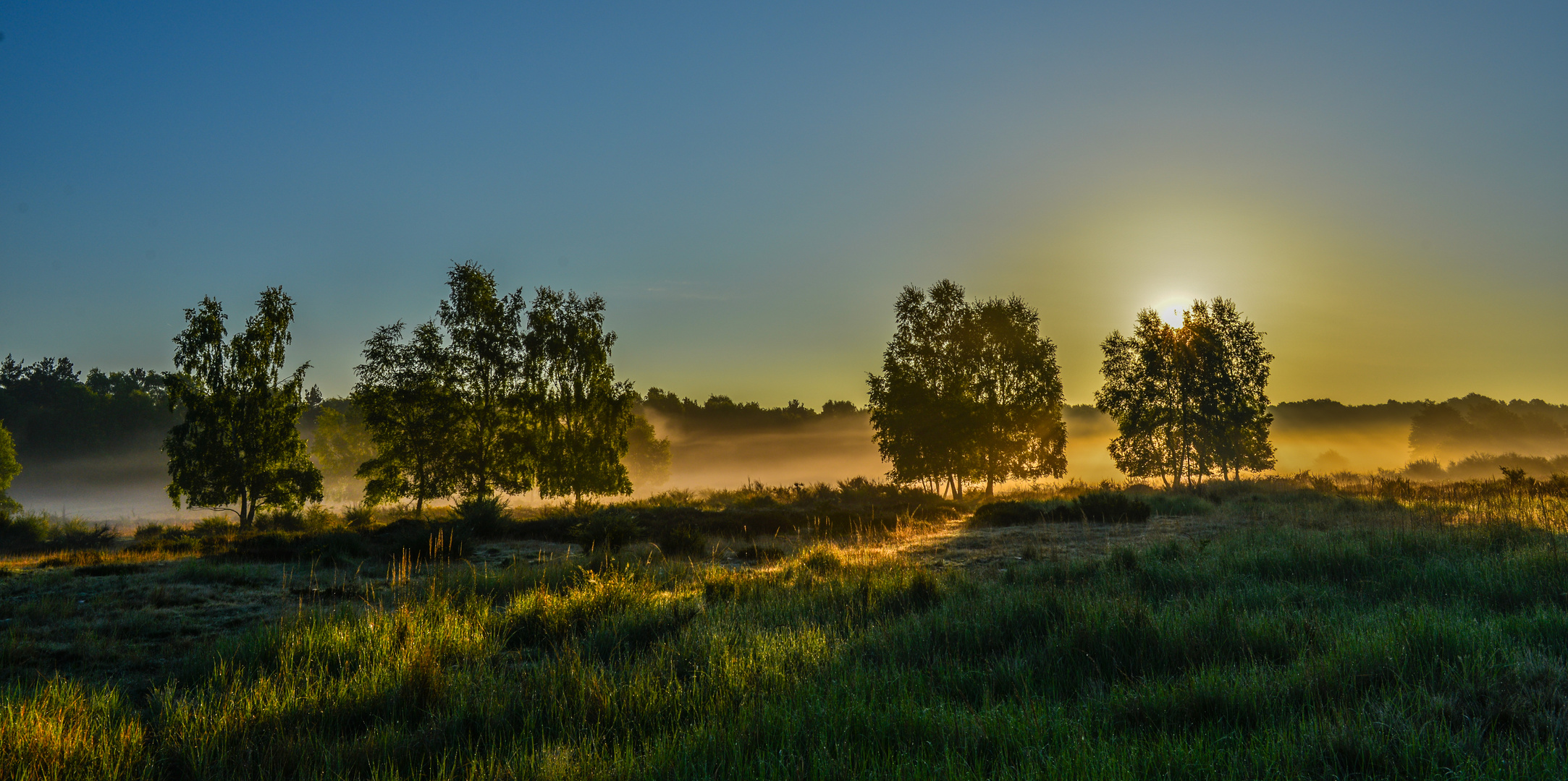 Im Morgenlicht