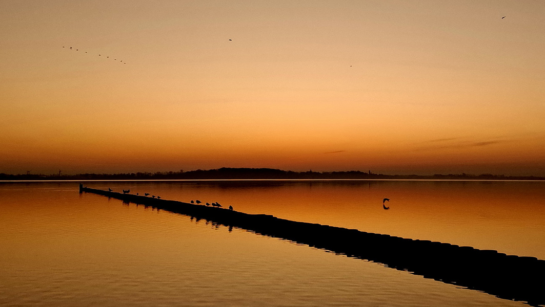 Im Morgenlicht