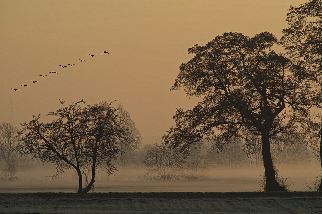 im Morgenlicht