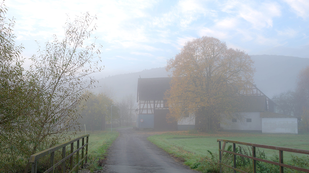 Im Morgennebel...