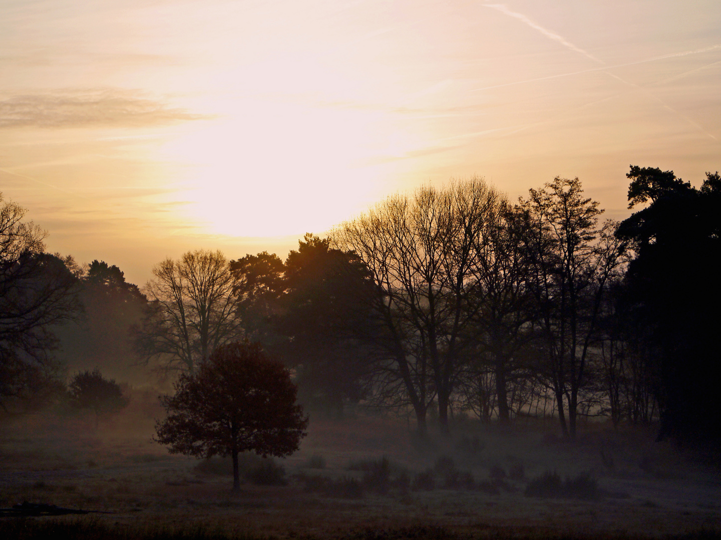 Im Morgennebel