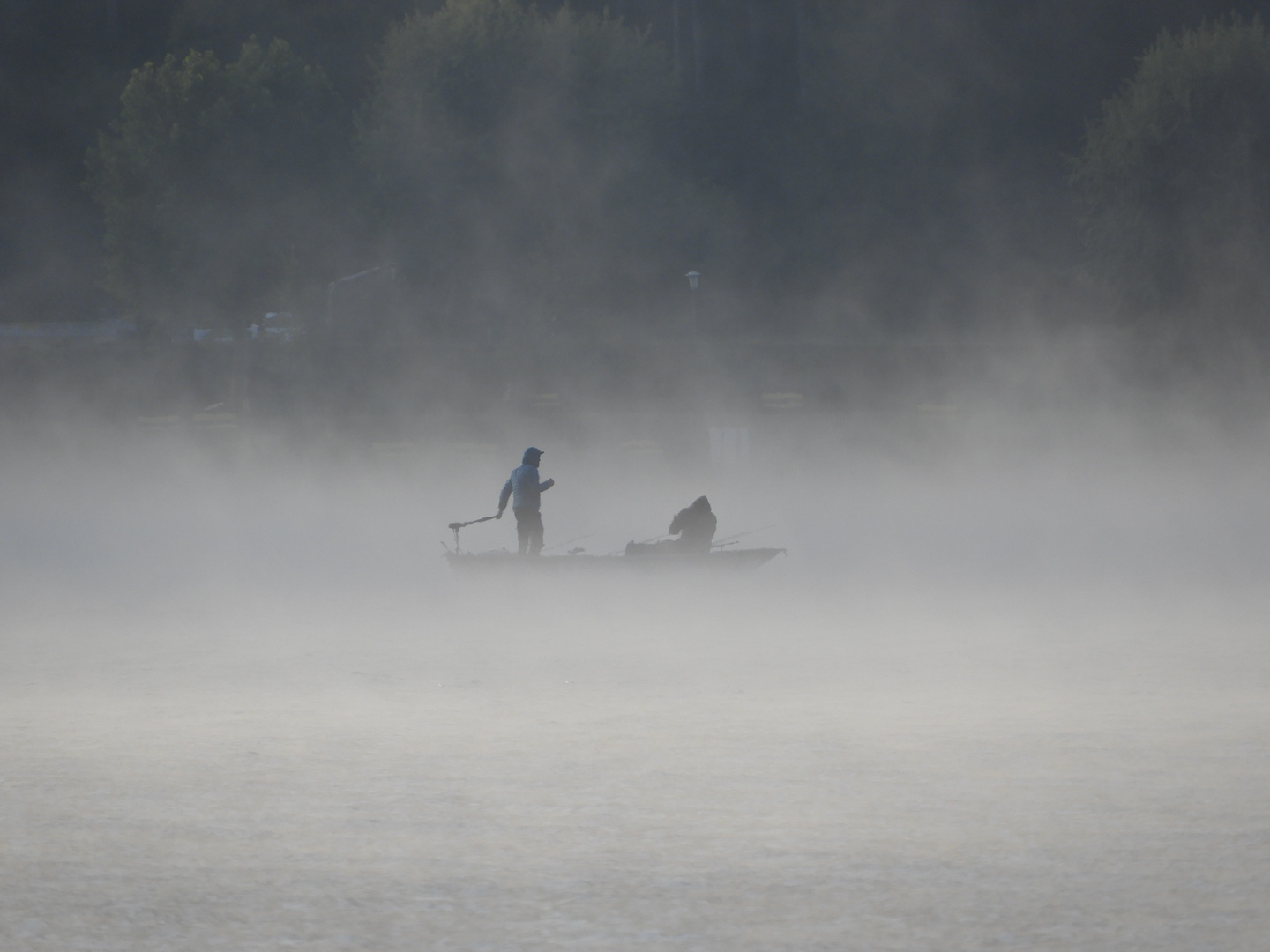 im Morgennebel