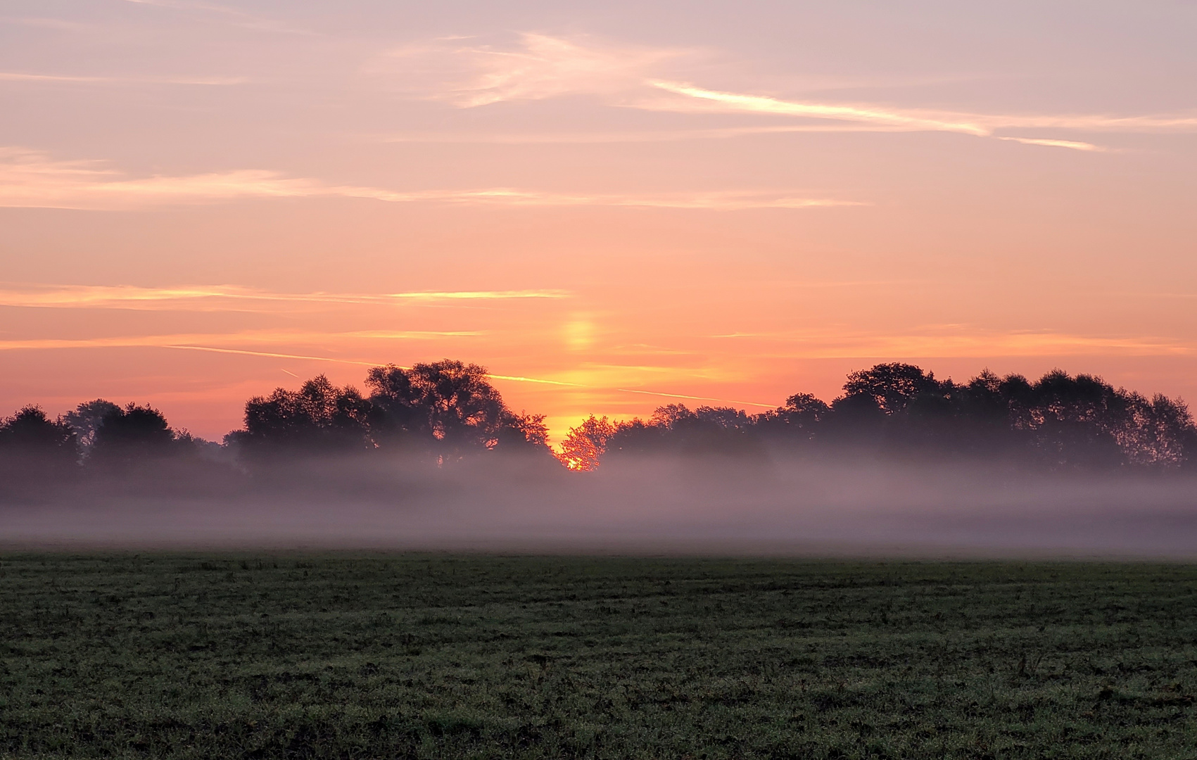 Im Morgennebel