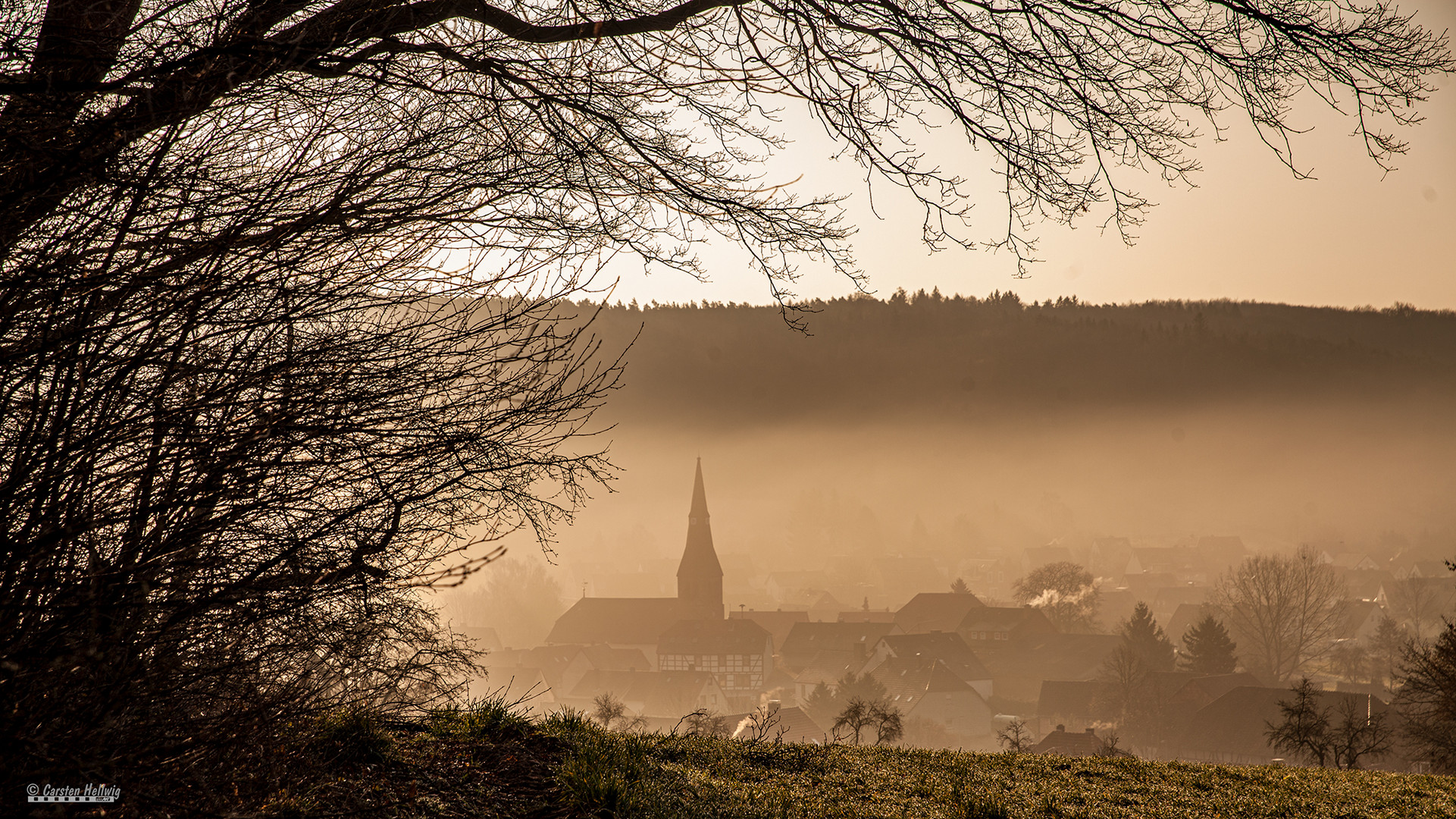 Im Morgennebel