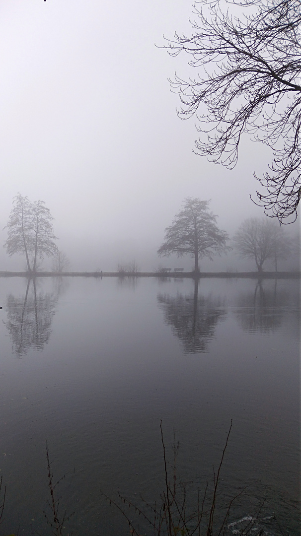 im Morgennebel