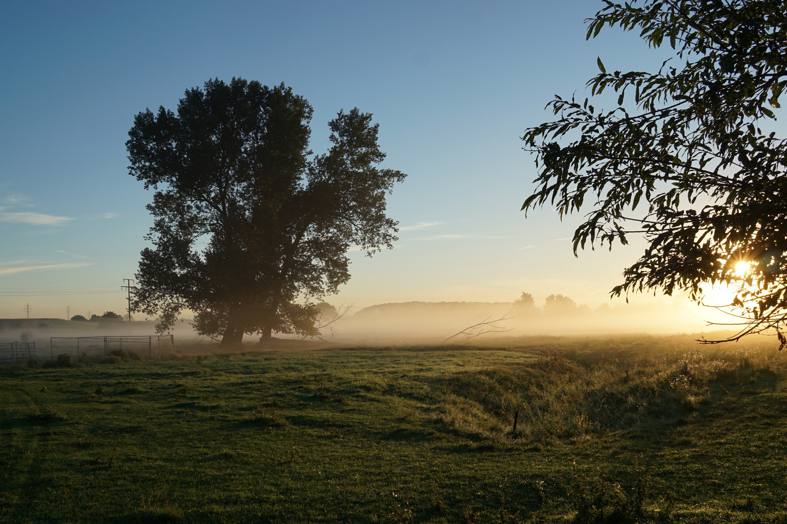 im Morgennebel.