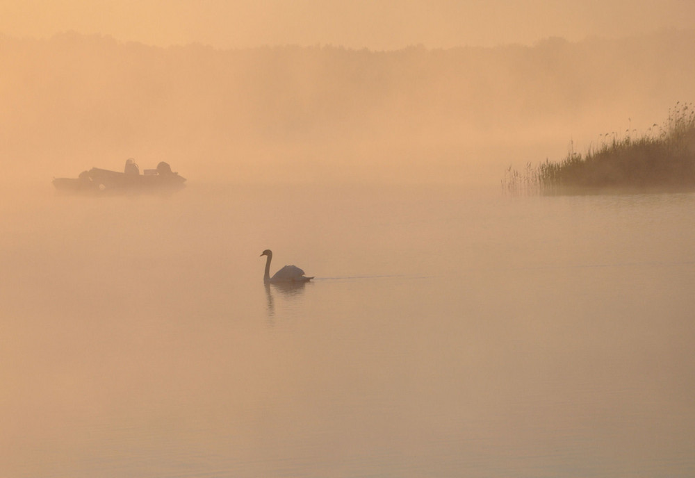 im Morgennebel beim Sonnenaufgang.