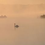 im Morgennebel beim Sonnenaufgang.