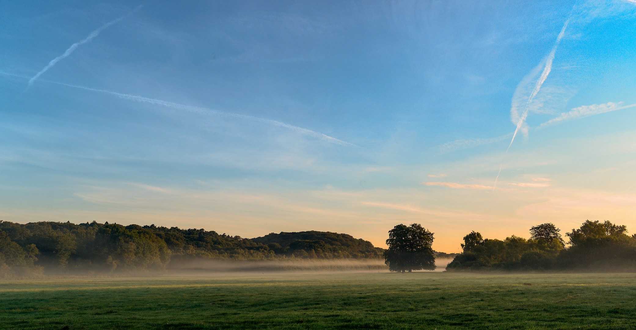 Im Morgennebel