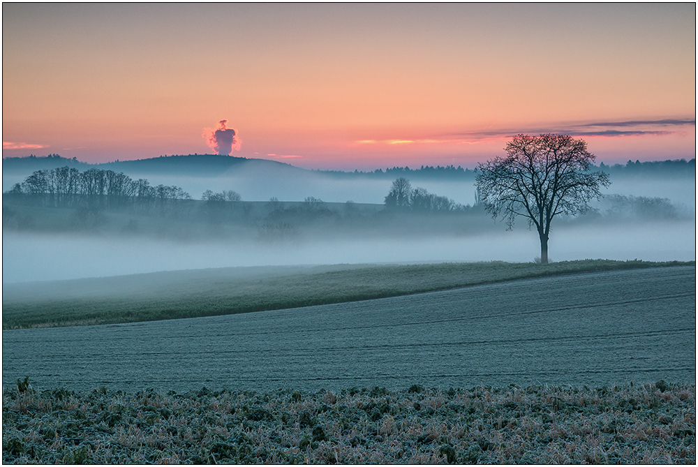 Im Morgennebel