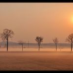 im Morgennebel......nella nebbia del mattino ....