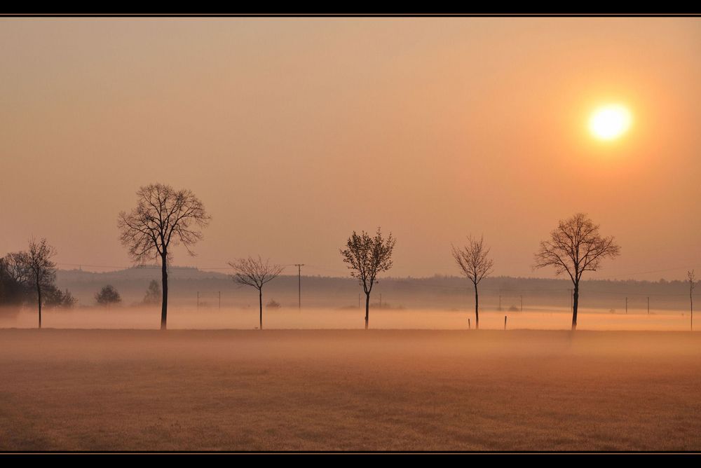 im Morgennebel......nella nebbia del mattino ....
