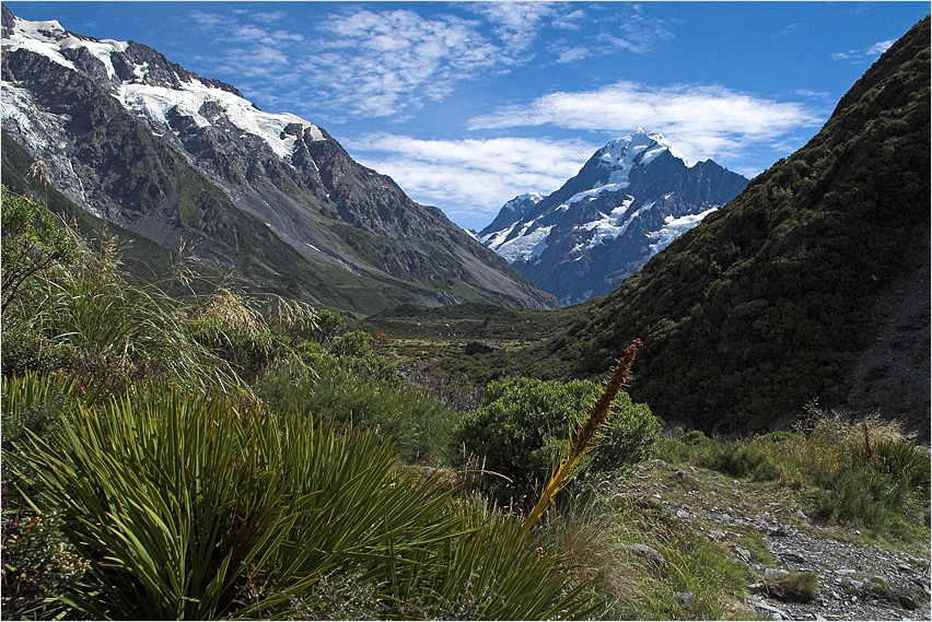 Im Mt. Cook National Park