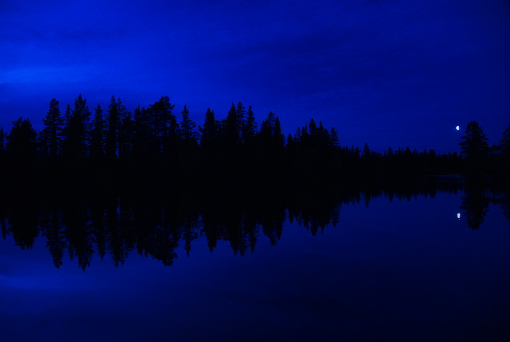 Im Muddus Nationalpark bei Jokkmokk, Schwedisch Lappland