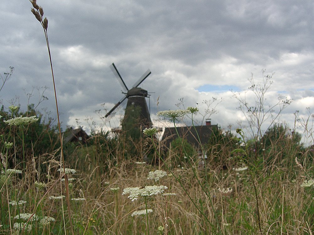 Im Mühlenmuseum Gifhorn *3*