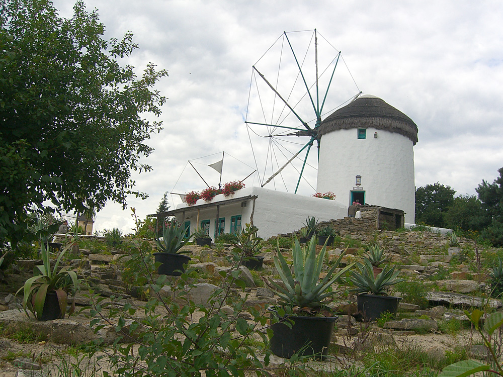 Im Mühlenmuseum Gifhorn *6*