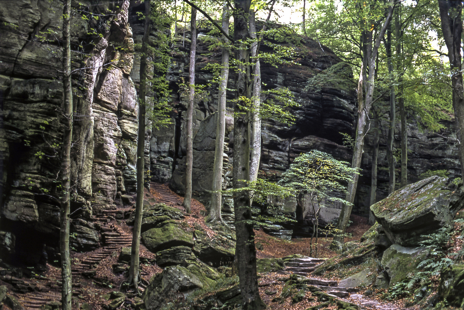 im Müllertal in Luxembourg