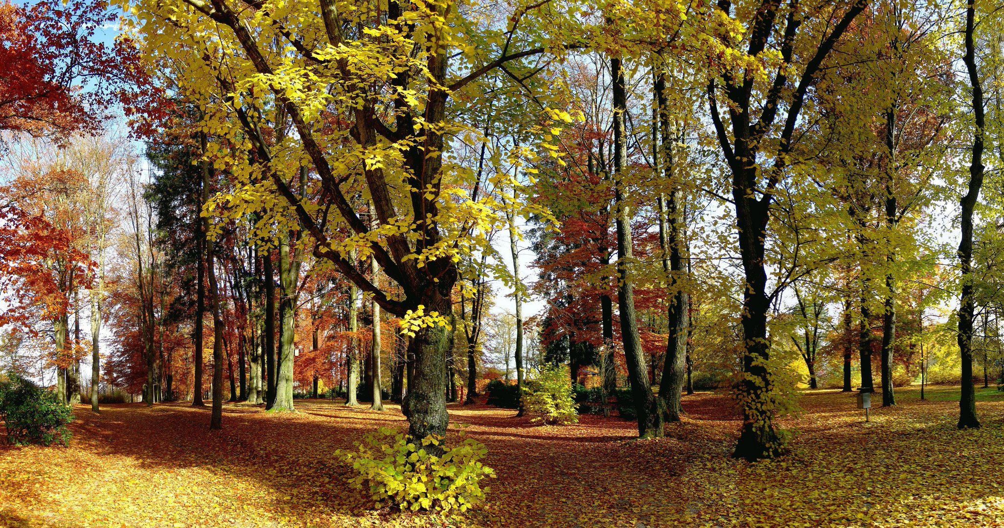 Im Münchberger Stadtpark