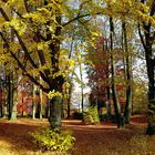 Im Münchberger Stadtpark