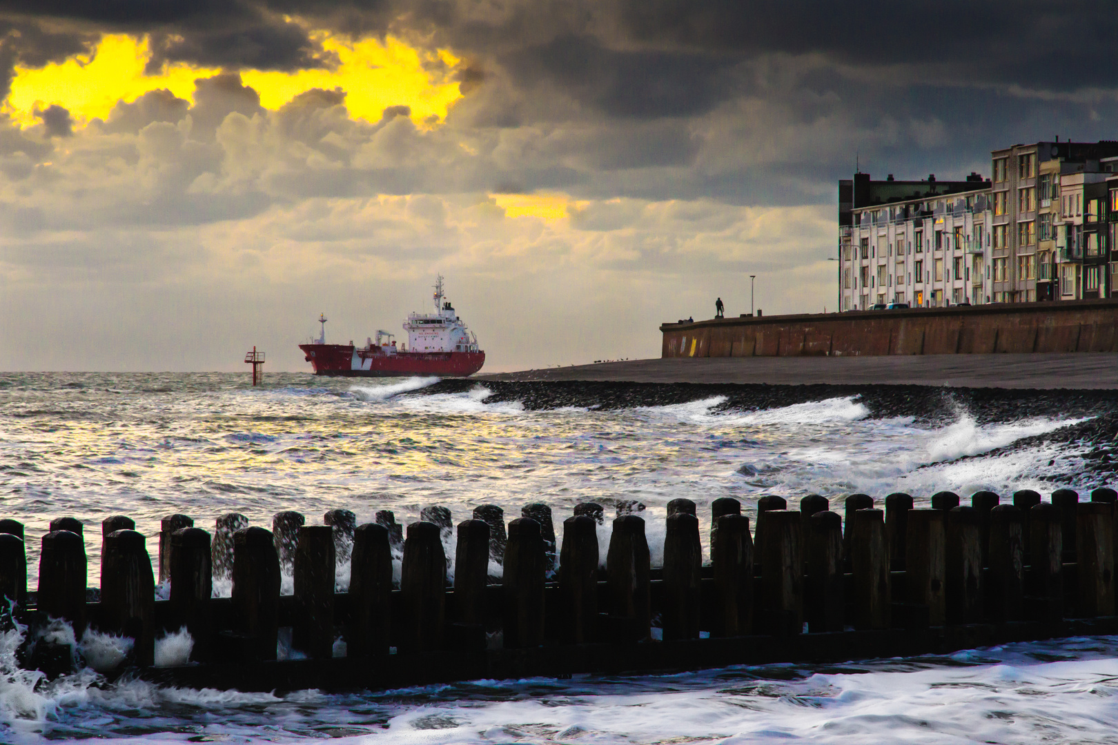 Im Mündung der Westerschelde bei Vlissingen (NL)