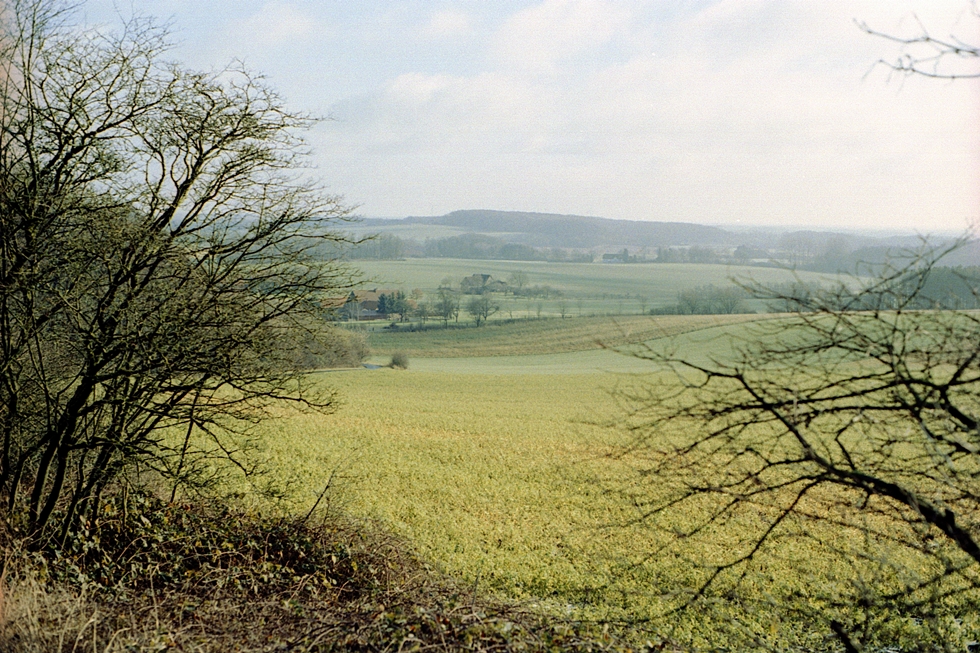 Im Münsterland