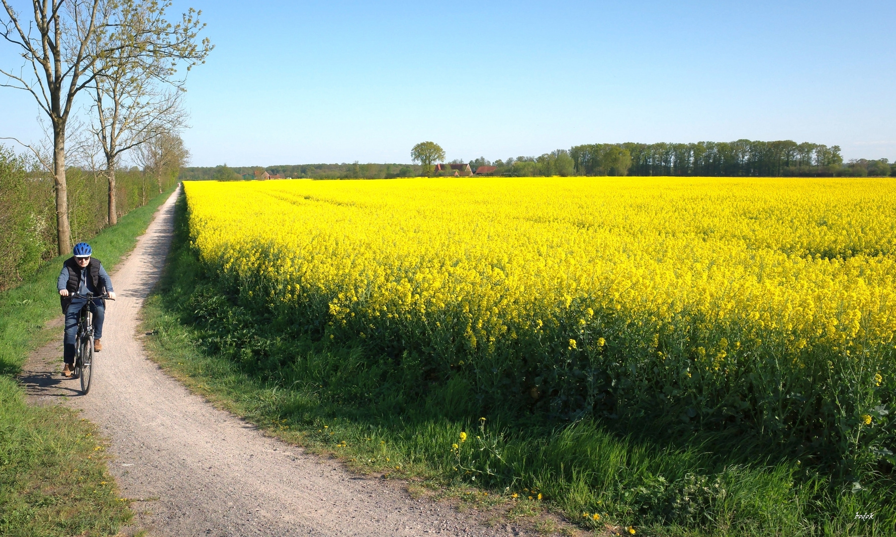 im Münsterland...