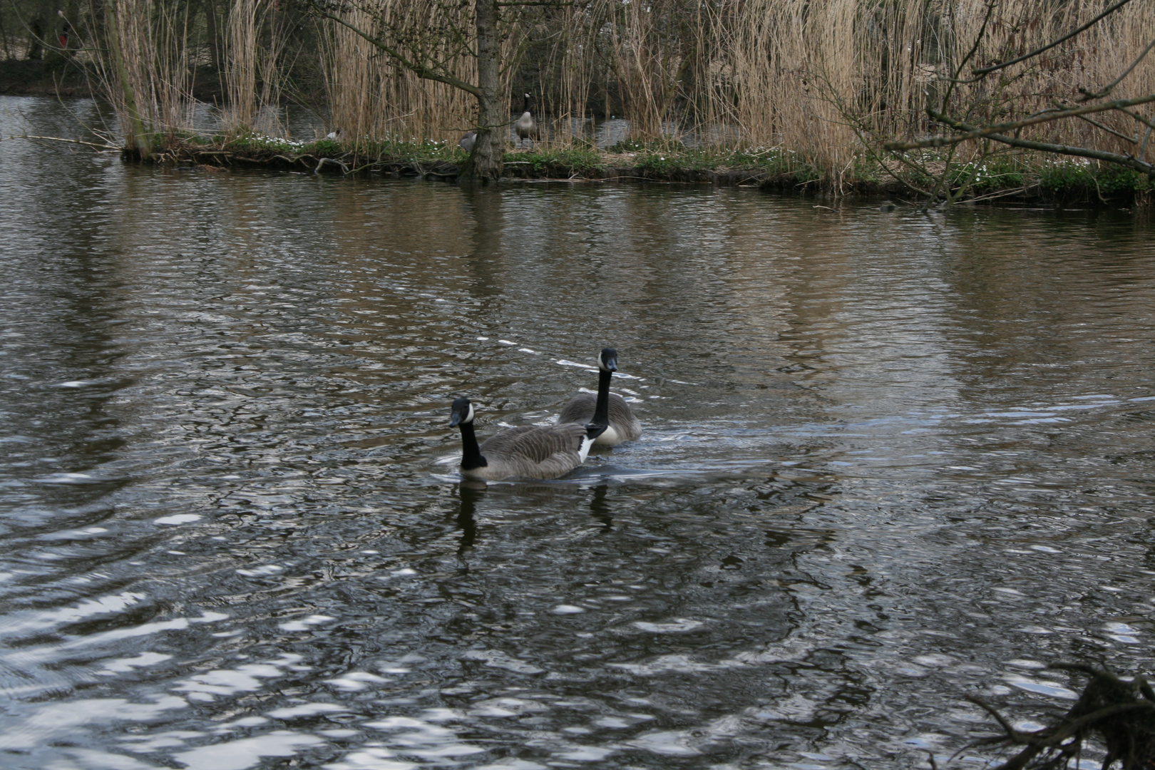 Im Münsterland