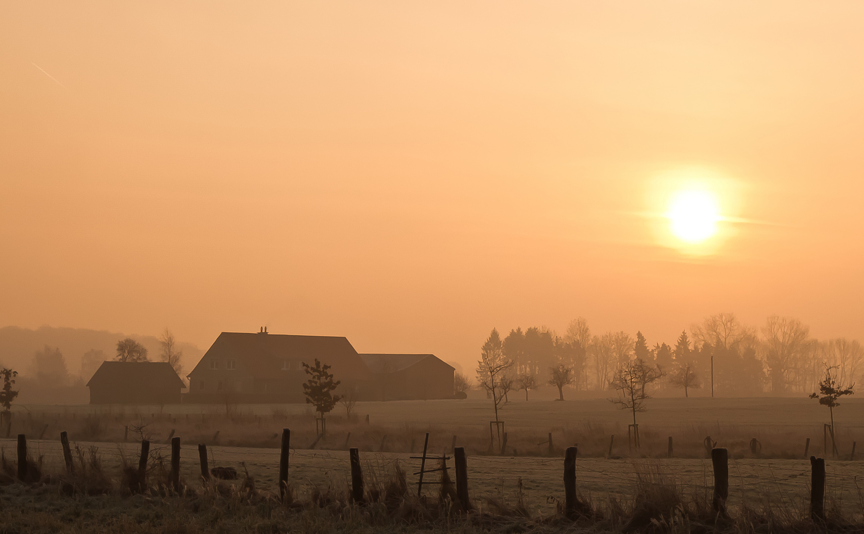 im Münsterland