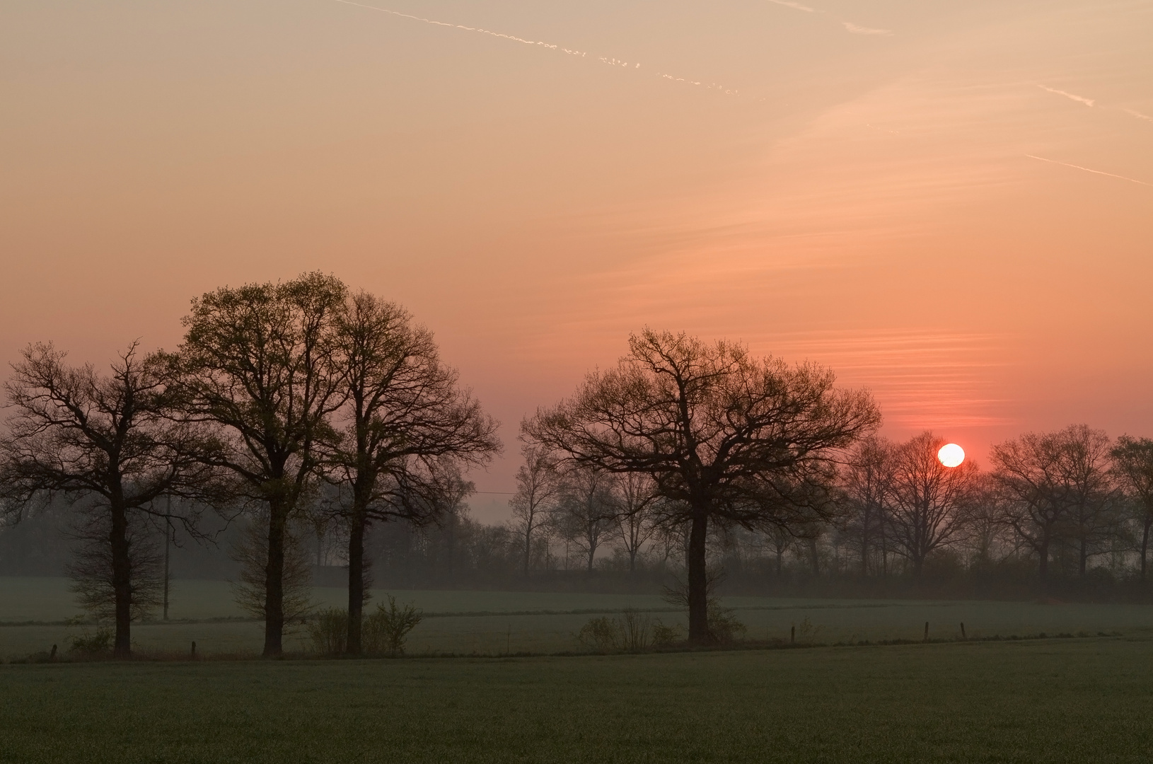 Im Münsterland