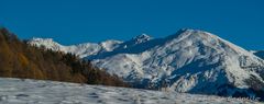 im Münstertal