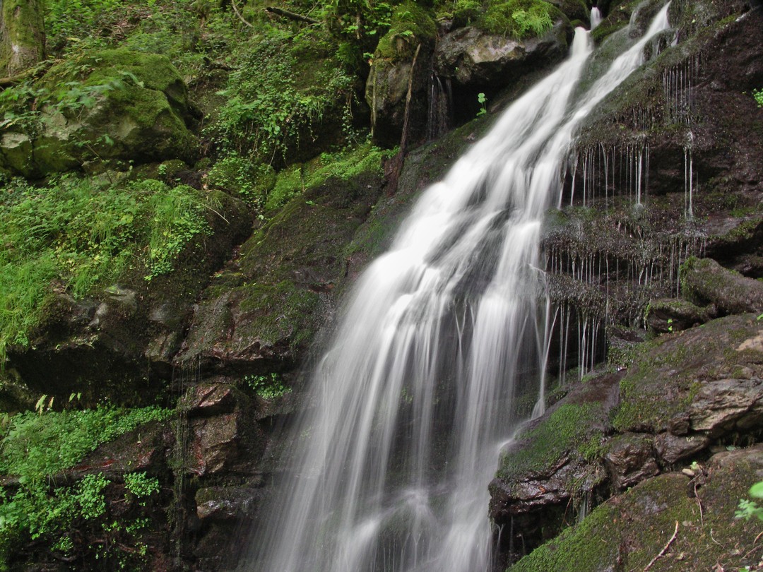 Im Murgtal (Südschwarzwald, Hotzenwald)