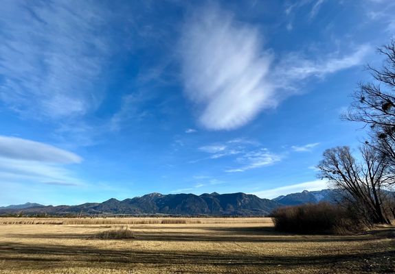 Im Murnauer Moos ( 2 )