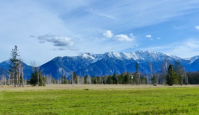 Im Murnauer Moos ( 3 )