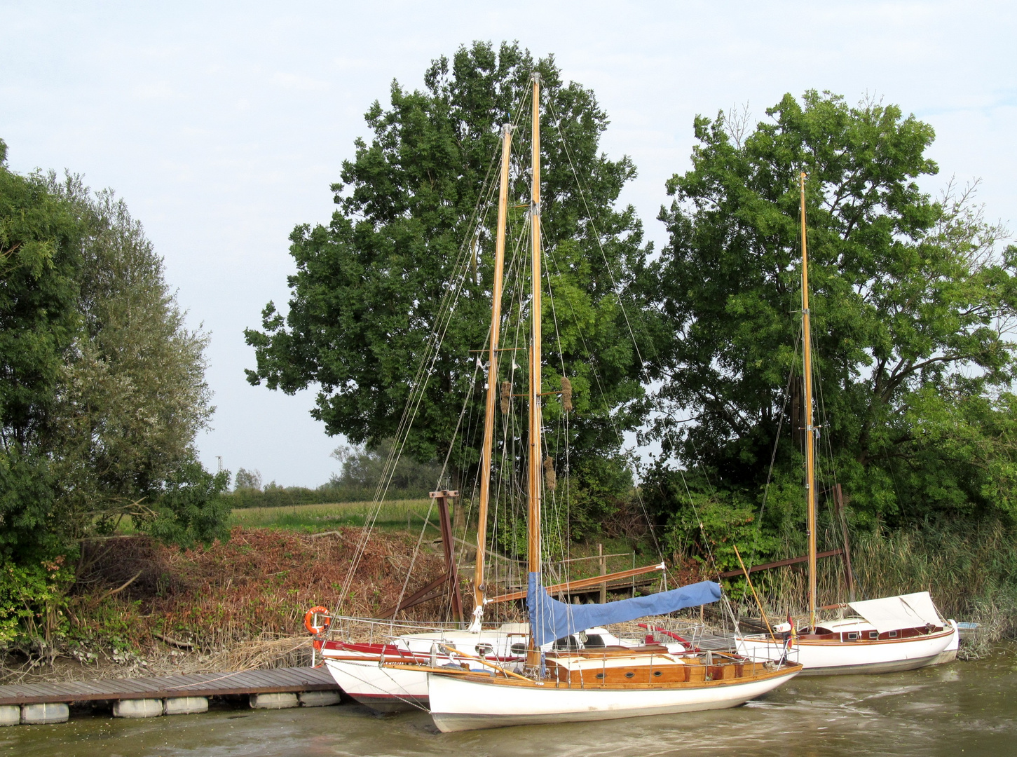 im Museumshafen Wischhafen ....