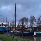 im Museumshafen Wischhafen 