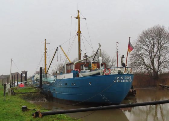 * im Museumshafen Wischhafen *