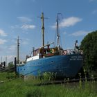 Im Museumshafen Wischhafen 