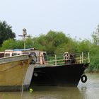 im Museumshafen Wischhafen ...