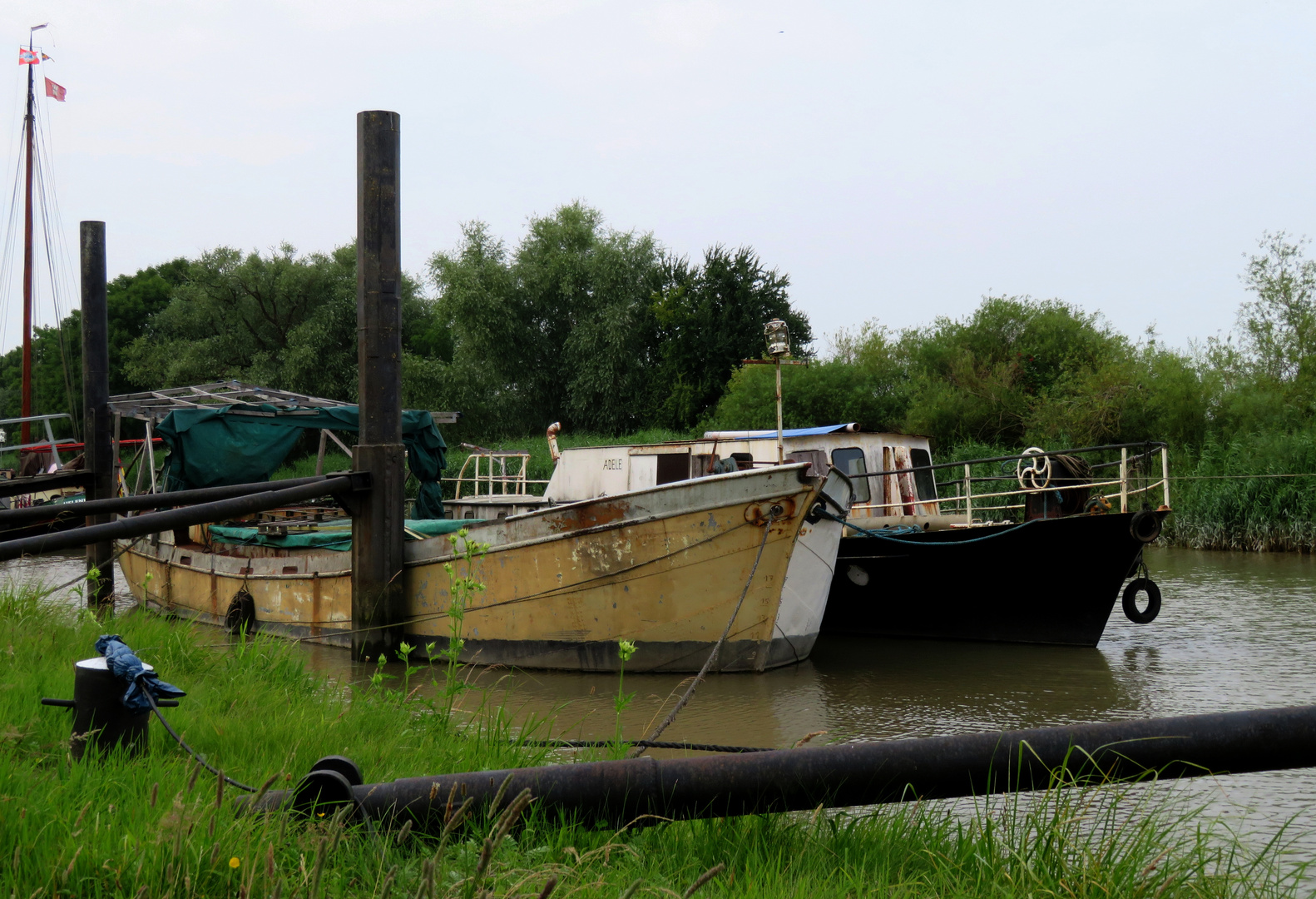 im Museumshafen Wischhafen ... 