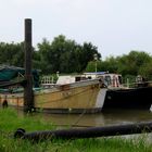 im Museumshafen Wischhafen ... 