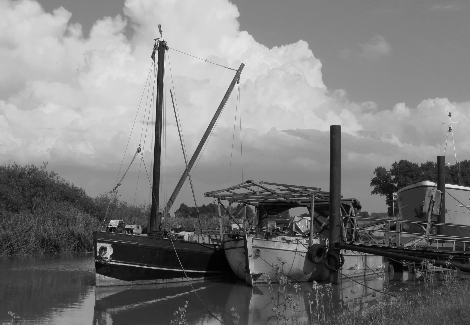 im Museumshafen Wischhafen 