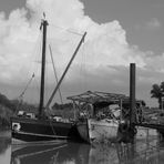 im Museumshafen Wischhafen 