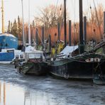 Im Museumshafen Wischhafen unterwegs ...