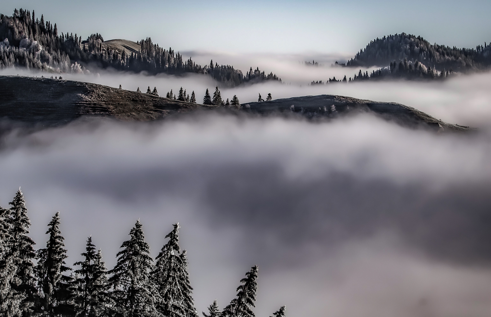 Im mystisch-schönen Napfgebiet