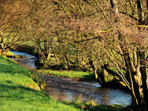 Im Naafbachtal bei Overath