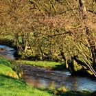 Im Naafbachtal bei Overath