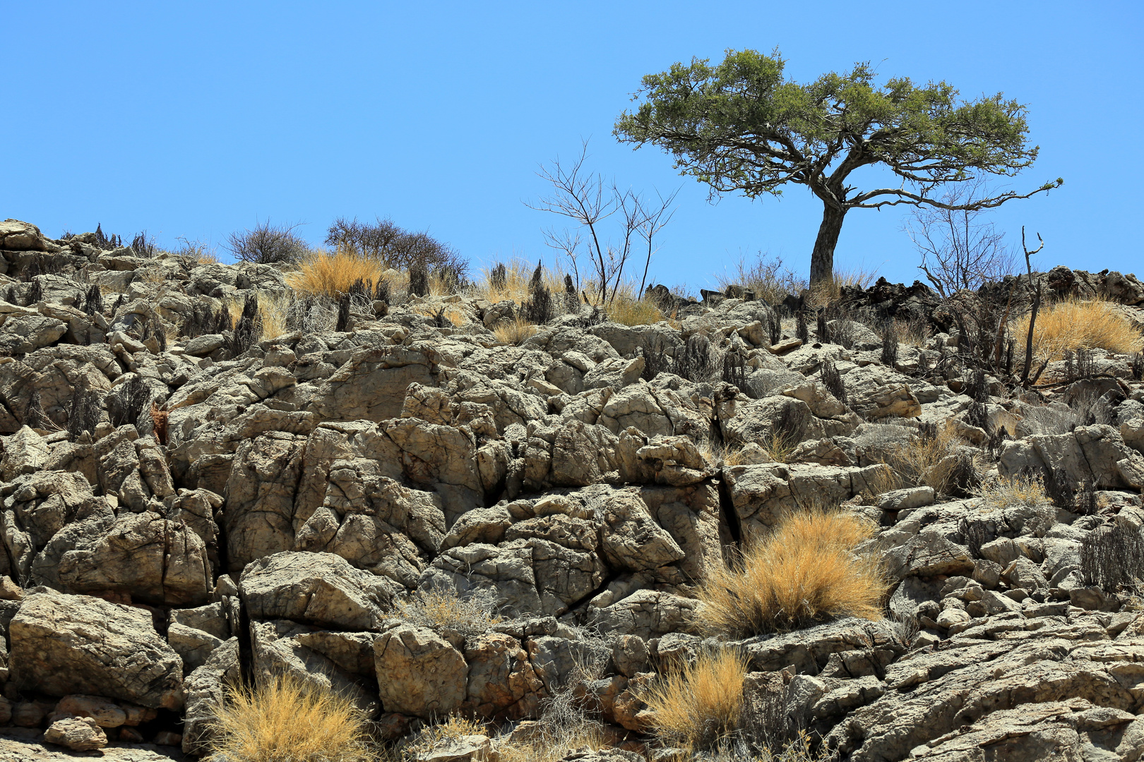 Im Namib-Naukluft National Park