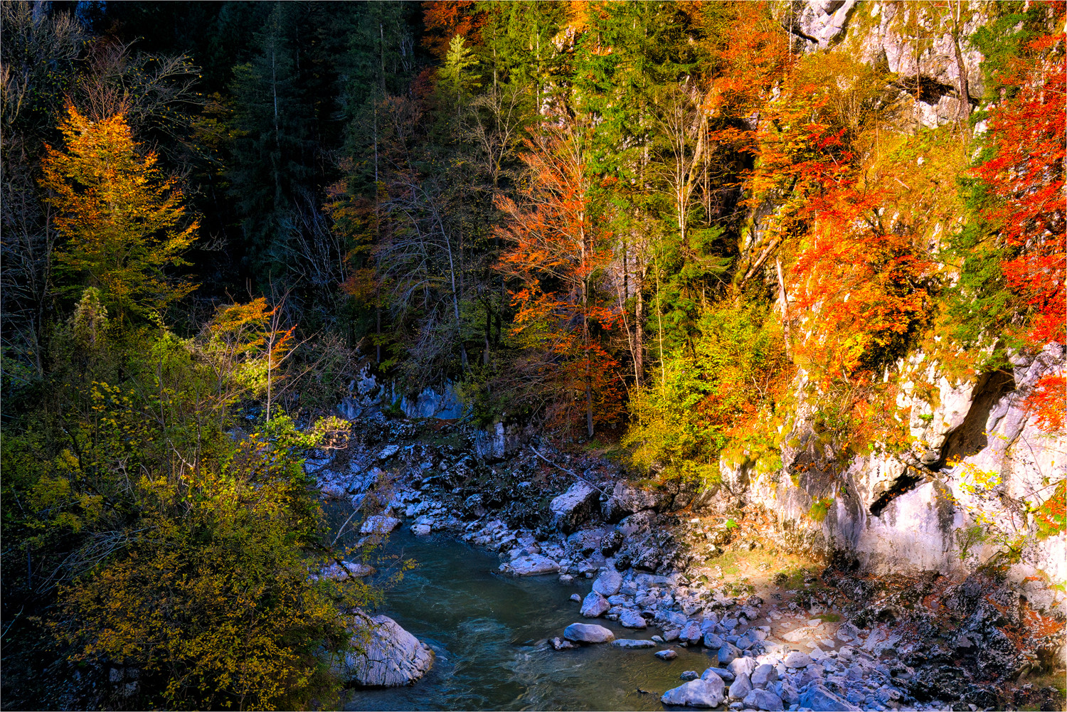 Im National Park " Gesäuse "