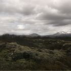 Im National Park Thingvellir